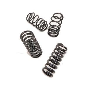 1965 - 1966 Ford Galaxie Front and Rear Coil Springs By Hotchkis - Thumbnail Image